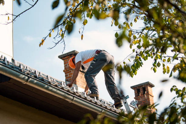 Best Flat Roof Repair Services  in North Brooksville, FL