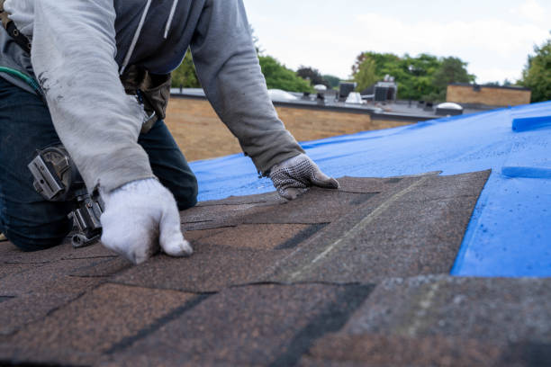 Quick and Trustworthy Emergency Roof Repair Services in North Brooksville, FL